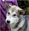Onni1 6-2010 1